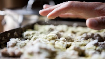 Koji mold on rice