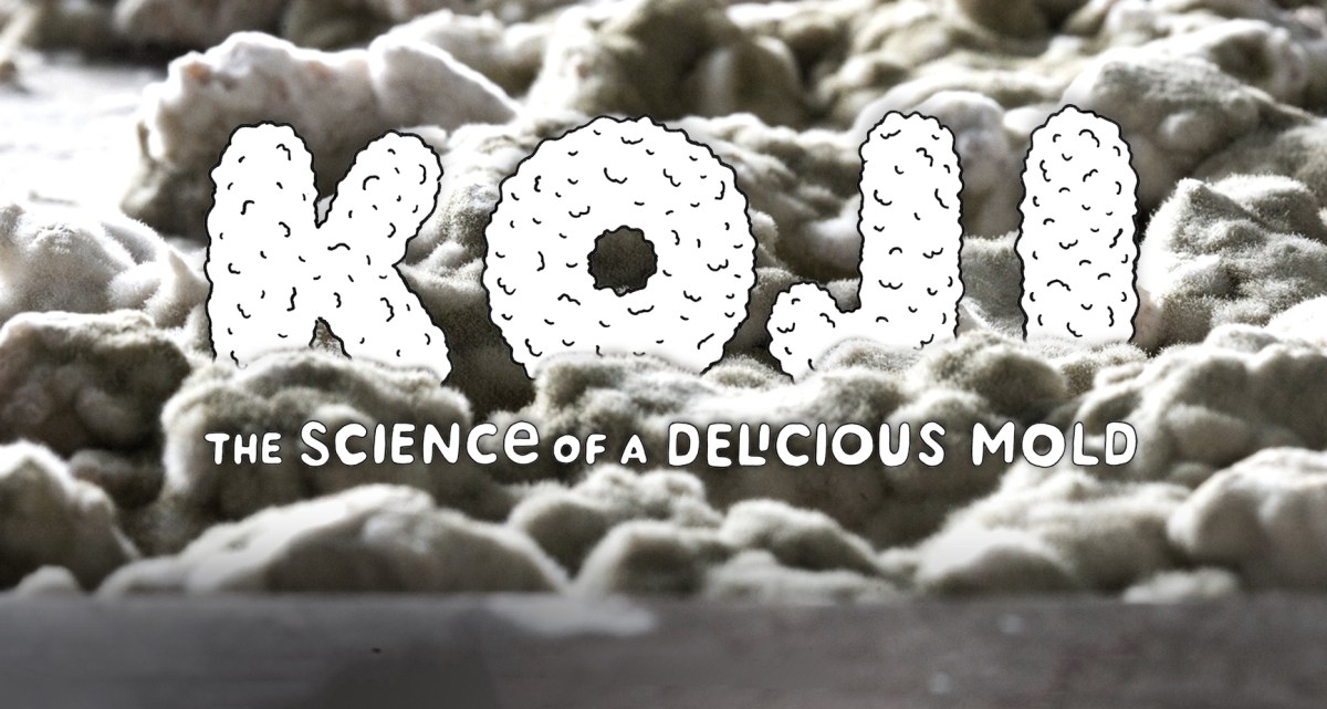 Koji - The Science of a Delicious Mold - Cook's Science