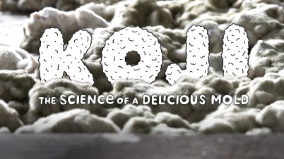 Koji - The Science of a Delicious Mold - Cook's Science